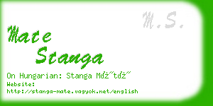 mate stanga business card